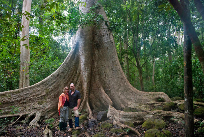 Tree of Life